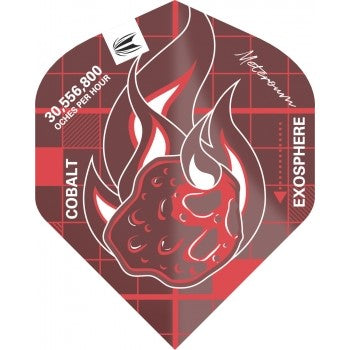 Target Blue Print Flight