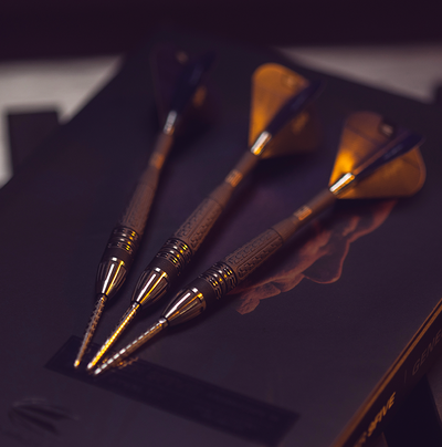 Wer ist der Weltmeister im Dartsport？