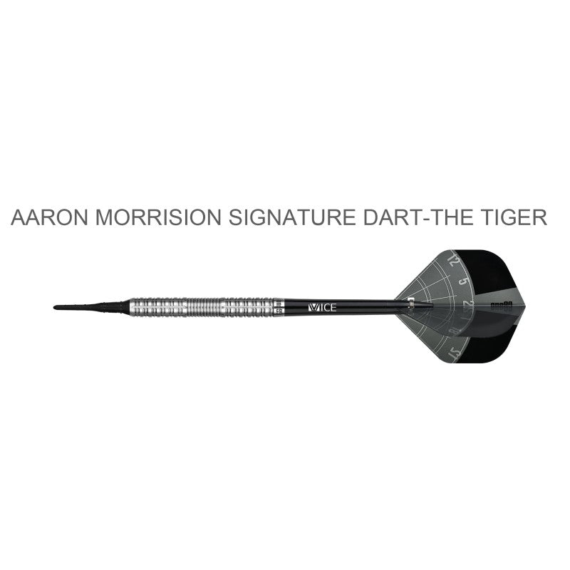 Aaron Morrison Dart Soft Tip