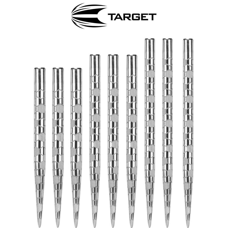 Target Onyx Silver Pro Point